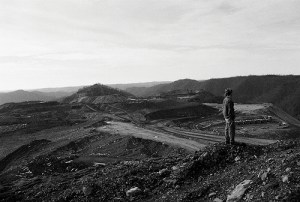 Image credit: Rachel Molenda