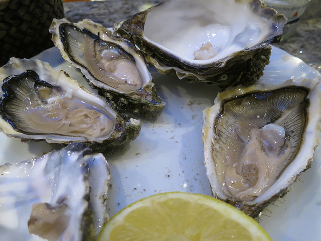 oysters chesapeake bay raw flooding climate change